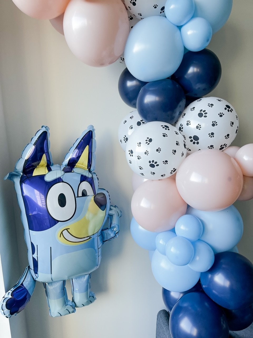 LICENSED Bluey Balloon Garland