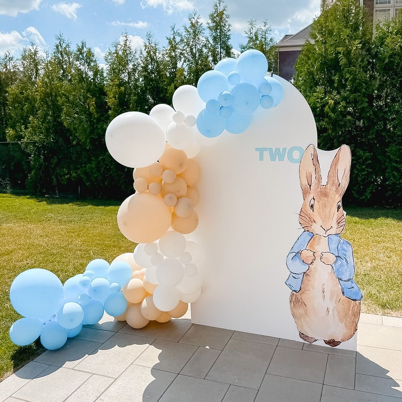 Peter Rabbit Decor - Etsy