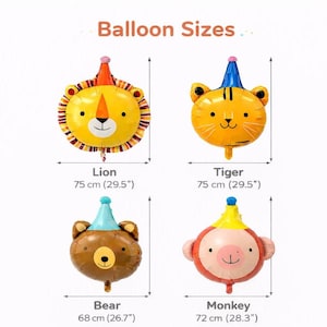 Balloon Size Details