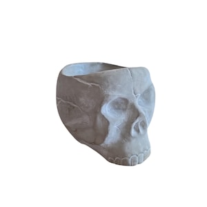 May include: A gray skull-shaped planter made of concrete. The planter has a hollow interior and detailed facial features, including eye sockets, a nose cavity, and teeth. The skull is a decorative item for Halloween or gothic decor.
