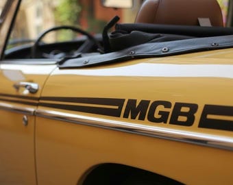 Dual Side Stripe Fits: 1962-1974 MG MGB OEM Upper Body Kit Roadster New