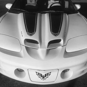 Rally Stripe Fits: 1998-2002 Trans Am Firebird Decal 30th anniversary Pontiac