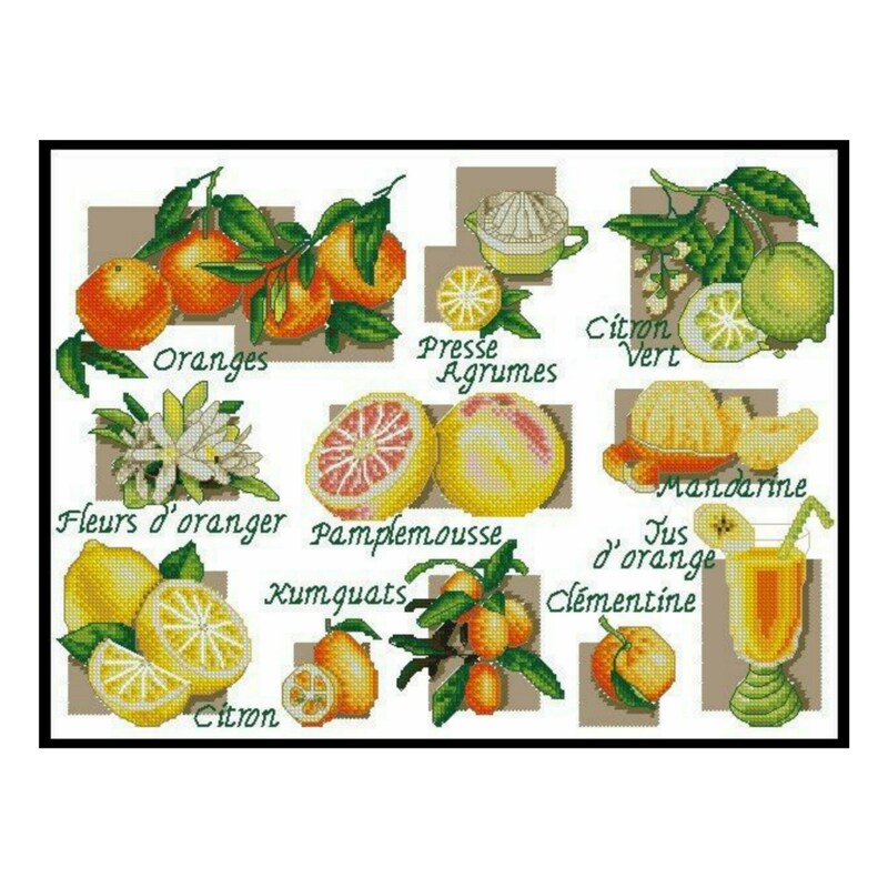 Citrus Cross Stitch - Etsy