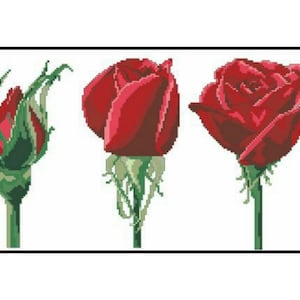 Red Rose Blossom Flowers Plants Nature Embroidery Counted Cross stitch Instant Download PDF Pattern