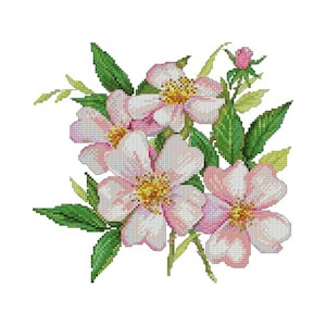Pink Rose Flowers Plants Nature Counted Cross stitch Instant Download PDF Pattern