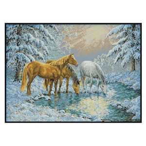 Paard Hengst Winterseizoen Dieren Natuur drinkgat geteld kruissteek Instant download pdf-patroon