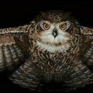 Puede incluir: Un búho marrón y gris con ojos amarillos está extendido con sus alas abiertas de par en par. El búho está en vuelo sobre un fondo negro.