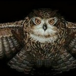 Owl Wings Wide Display Animals Counted Cross stitch Instant Download PDF Pattern