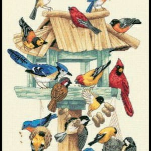 Può includere: Un disegno a punto croce con una casetta per uccelli circondata da vari uccelli colorati. Gli uccelli includono ghiandaie blu, cardinali e fringuelli, con dettagliati motivi di piume. La casetta per uccelli ha un tetto in legno e una struttura di supporto verde.
