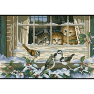 Puede incluir: Tres gatitos asoman por una ventana con nieve en el alféizar. Dos pájaros están posados en una rama fuera de la ventana, mirando a los gatitos.