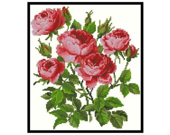 Rose Flowers Plants Nature Counted Cross stitch Instant Download PDF Pattern