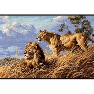 Può includere: Un leone e una leonessa stanno in un campo di erba alta. La leonessa è in primo piano, guardando a sinistra, mentre il leone è sullo sfondo, guardando a destra. Il cielo è blu con nuvole bianche.
