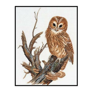 Braune Eule Vögel Tiere Natur Kreuzstich Instant Download PDF Pattern