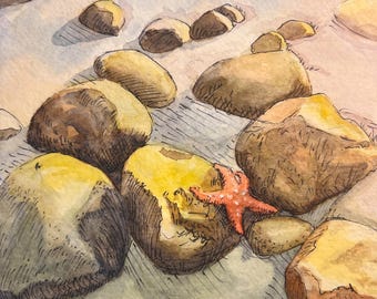 Sea Star Watercolor Painting – Coastal Tide Pool Art (5x7)