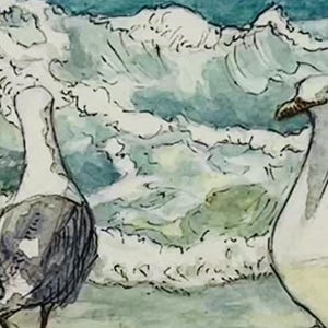 May include: Watercolor painting of two seagulls with a backdrop of ocean waves. The birds are depicted in shades of gray, white, and black, with the waves in shades of blue and white. The artwork has a soft, illustrative style.
