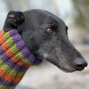 Autumn Winter Dog Scarf. Wool Dog Snood. Greyhound Galgo Whippet Lurcher Sighthound. Spring Neckwarmer. British Wool. Chunky Wool. Stripes