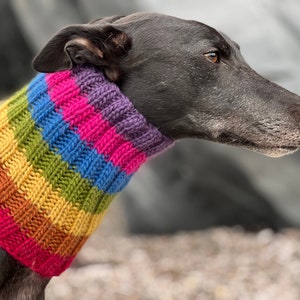 Rainbow Snood. Autumn Winter Dog Scarf. Wool Dog Snood. Greyhound Galgo Whippet Lurcher Sighthound. Spring Neckwarmer. British Wool. Chunky.