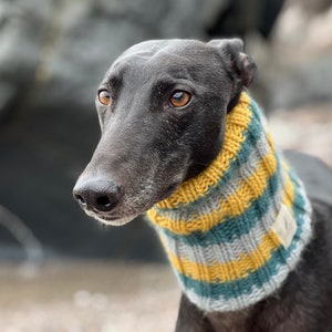 Autumn Winter Dog Scarf. Wool Dog Snood. Greyhound Galgo Whippet Lurcher Sighthound. Spring Neckwarmer. British Wool. Chunky Wool. Stripes
