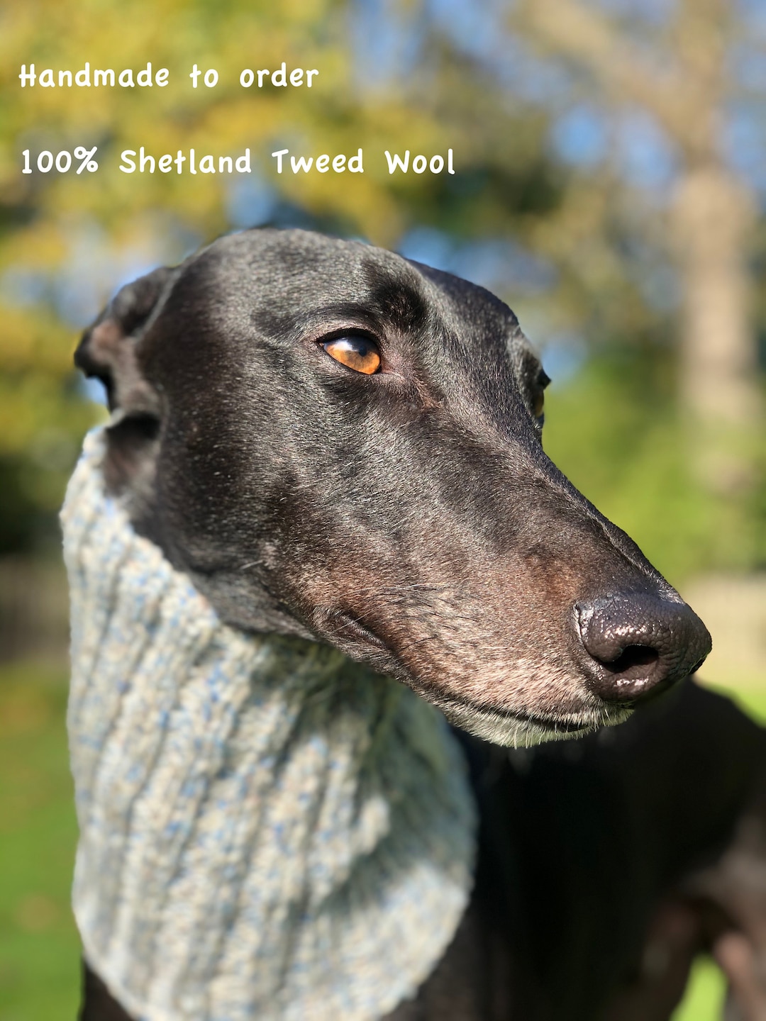 Wool Dog Snood. Greyhound Galgo Whippet Lurcher Sighthound. Winter Neck