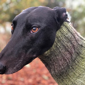 Wool Dog Snood. Greyhound Galgo Whippet Lurcher Sighthound. Winter Neck Warmer. British Wool. Winter Dog Scarf. Dog Accessories.