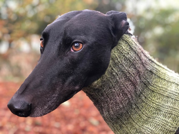 Greyhound clearance snood australia