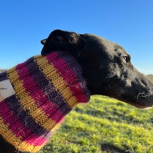 Autumn Winter Dog Scarf. Wool Dog Snood. Greyhound Galgo Whippet Lurcher Sighthound. Spring Neckwarmer. British Wool. Chunky Wool. Stripes