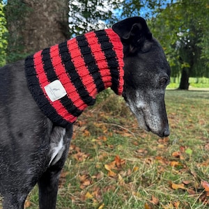 Striped Wool Dog Snood: Greyhound, Whippet, Lurcher Neckwarmer