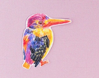 Dwarf Kingfisher Sticker