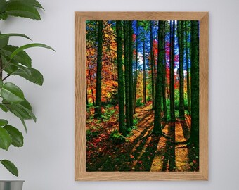 Colorful Autumn Forest Photography Print | Fine Art Wall Decor