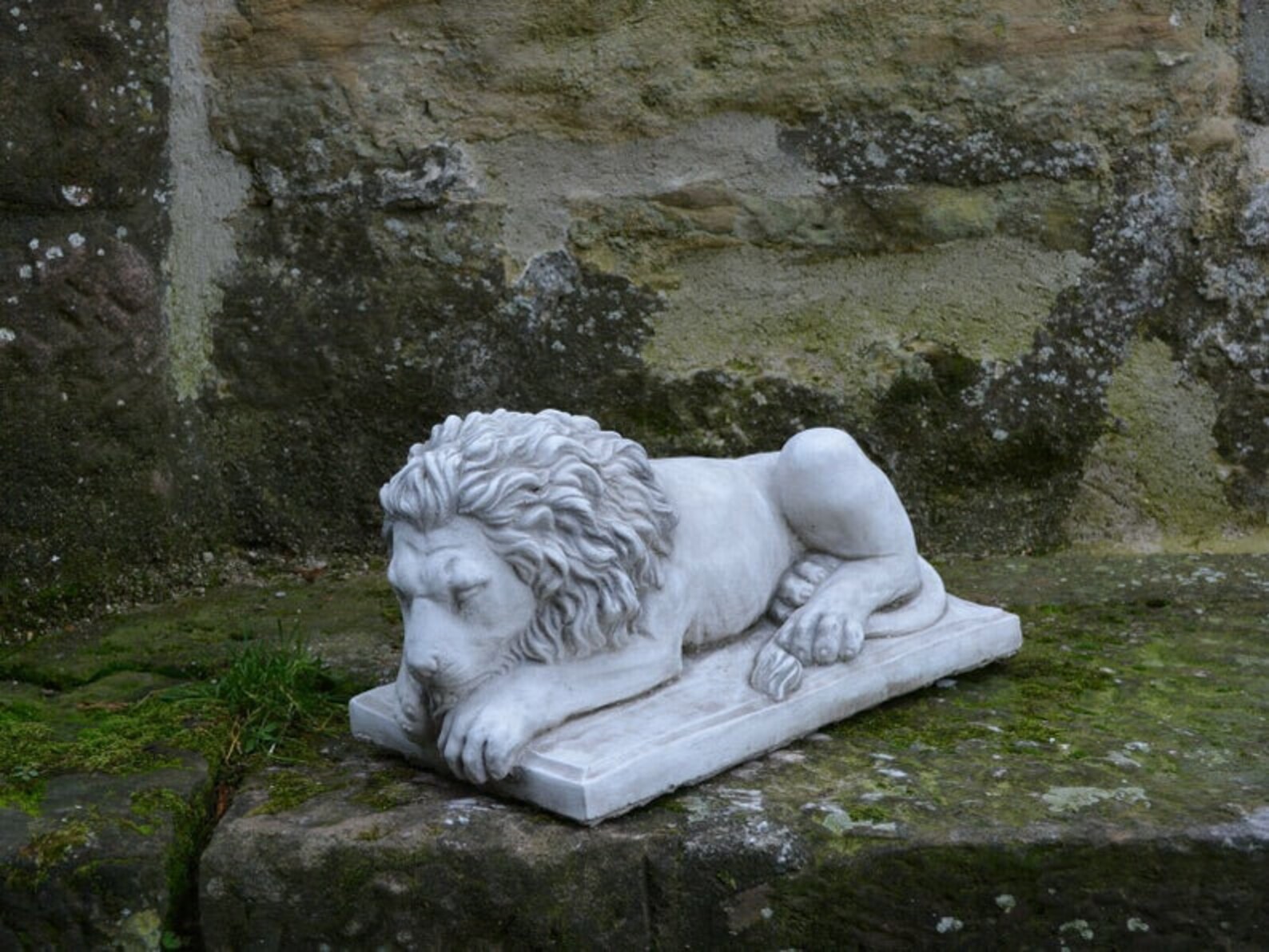 CONCRETE LION 39 lb. Lion statue lying lion animal statue Etsy