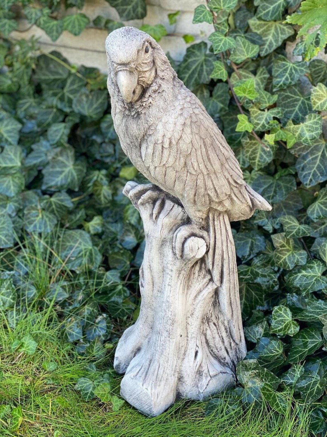 PARROT STATUE 45 lb. Parrot stone statue Home bird sculpture Etsy
