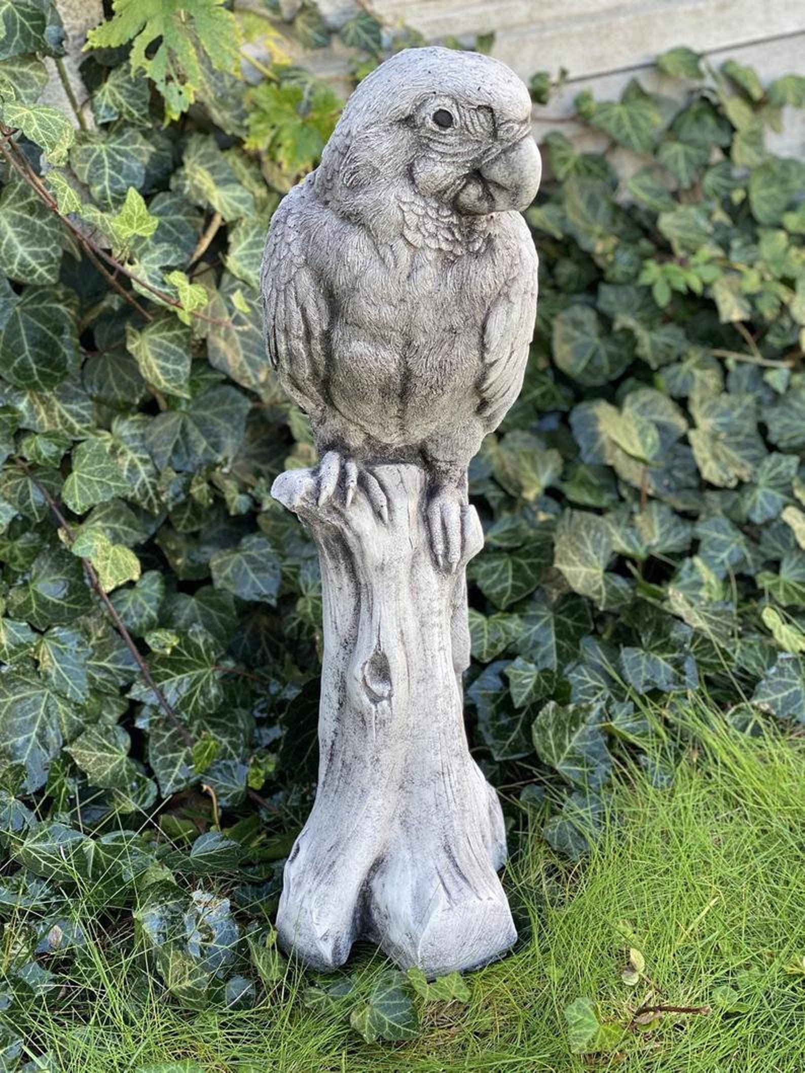 PARROT STATUE 45 lb. Parrot stone statue Home bird sculpture Etsy