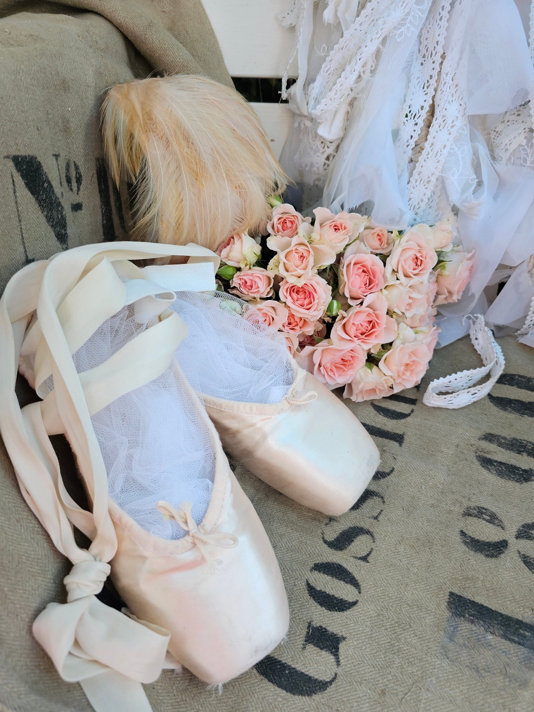 satin ballet shoes with ribbons