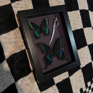 May include: A framed display featuring three dark teal butterflies with iridescent blue accents. A small silver sword is also included in the frame. The frame is black and sits on a black and white checkered surface.