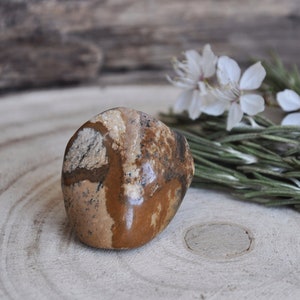 Jasper tumbled stone brown | Healing stone | Mineral collection | Gemstones
