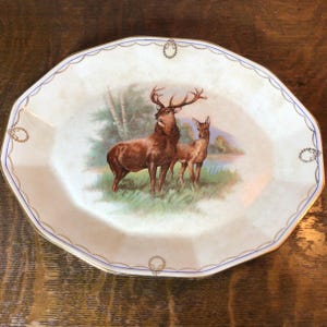 vintage Bavarian ironstone platter, serving tray, Ironstone plate