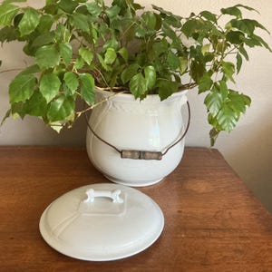 May include: A white ceramic pot with a rounded body, a wire handle featuring a wooden grip, and a separate matching lid with a decorative handle. The pot contains a lush green plant with many leaves, and the lid rests in front of the pot.