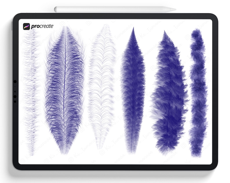 Op de afbeelding: Een digitale illustratie van zes verschillende verenontwerpen. De veren zijn getekend in tinten blauw en grijs. De afbeelding wordt weergegeven op een tabletscherm met het woord "procreate" in de linkerbovenhoek.