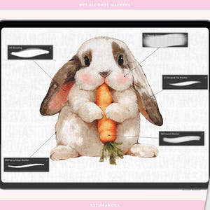 May include: A digital illustration of a white rabbit with brown ears holding a carrot. The image is on a digital tablet screen with a white stylus next to it. The screen shows different brush strokes labeled with names like "Fuzzy Edge Marker" and "Striped Tip Marker".