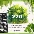 Procreate forest nature brushes, plant, leaves, tree digital brush stamps. Procreate anime outline dual brushset product logo