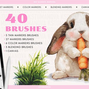 May include: A digital illustration of 40 brushes for use with a digital drawing tablet. The brushes are categorized as thin markers, markers, color markers, blending brushes, and canvas. The illustration also features a cute cartoon bunny holding a carrot and a patch of green grass.