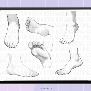 Procreate Legs Procreate Feet Brushes Stamps. Procreate Foot Anatomy Brush Stamp ...