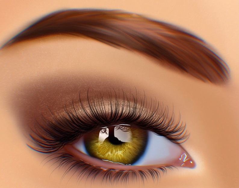 Iris Brushes. Eye Brush. Digital Brushes Etsy