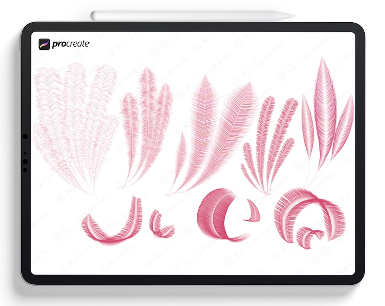 Op de afbeelding: Een digitale illustratie van roze veren in verschillende vormen en maten, gemaakt met de app Procreate. De veren zijn willekeurig gerangschikt op een witte achtergrond.