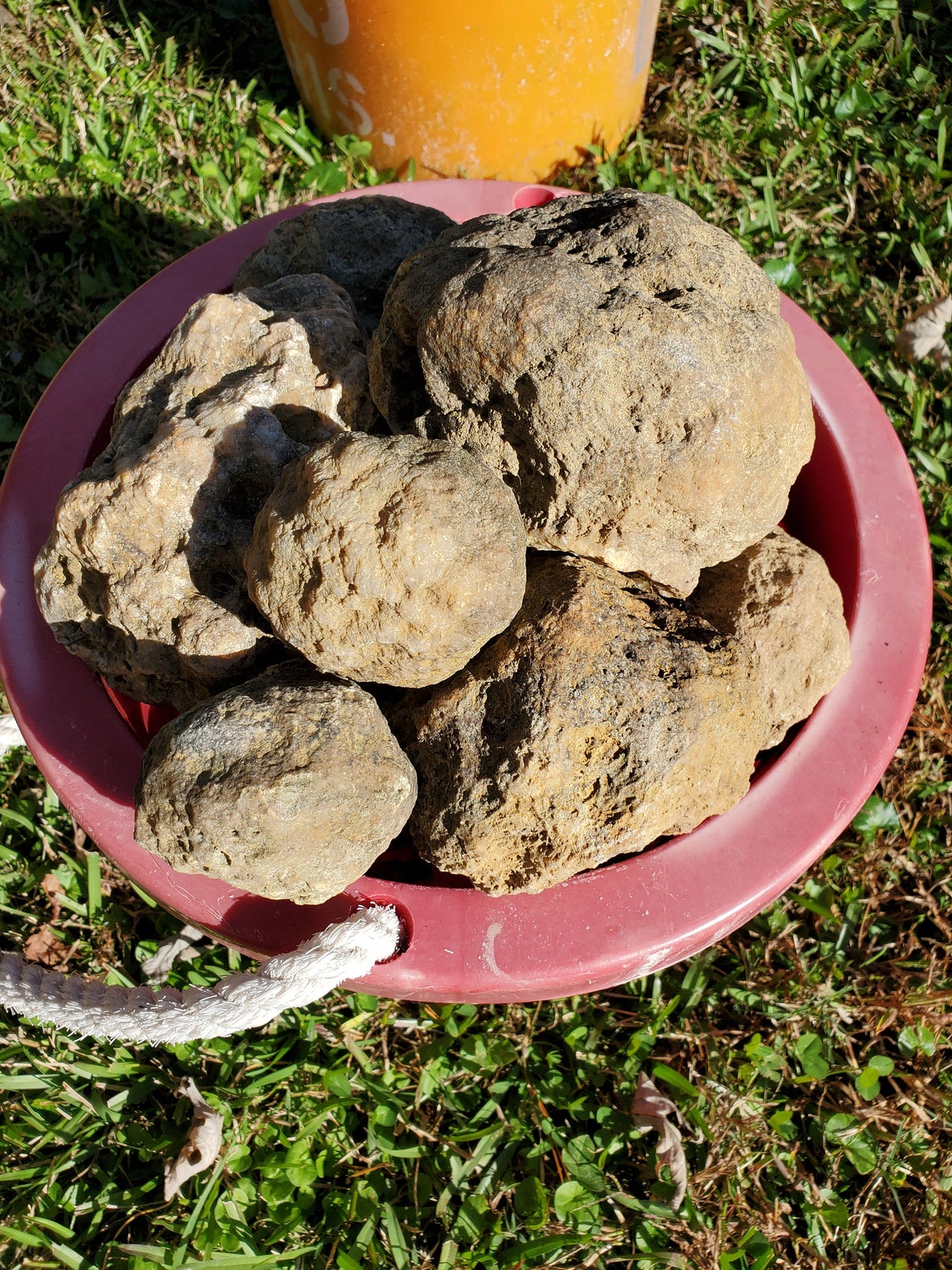 Tennessee Geodes Etsy