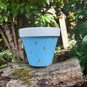 May include: A light blue terracotta planter with a white rim, decorated with a pattern of yellow bees and black dotted lines. The planter is sitting on a piece of weathered wood.