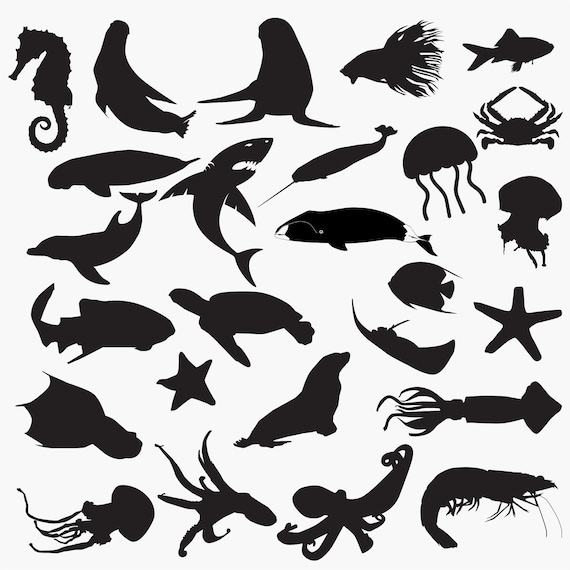 Sea Creatures SVG Bundle Sea Animals Silhouette SVG Sea | Etsy