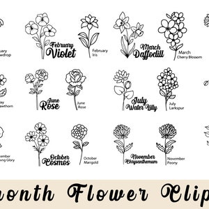 Flor de nacimiento Svg / Paquete de Svg de mes de nacimiento / Flor Svg / Floral Svg / Botánico Svg / Flor silvestre Svg / Margarita Svg / Amapola Svg / Cumpleaños PNG