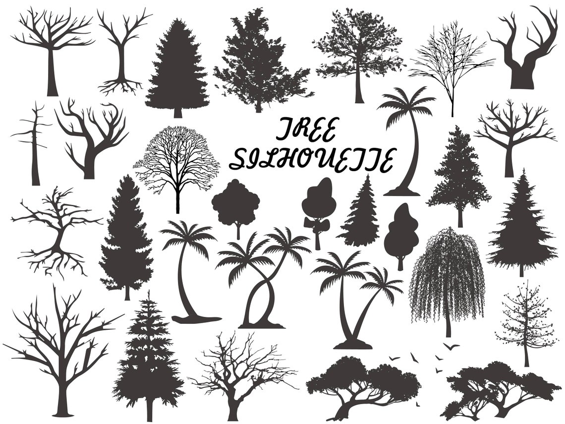 Plotterdatei Baum Silhouette Baum Svg Baum Svg Tannenbaum Etsy.de