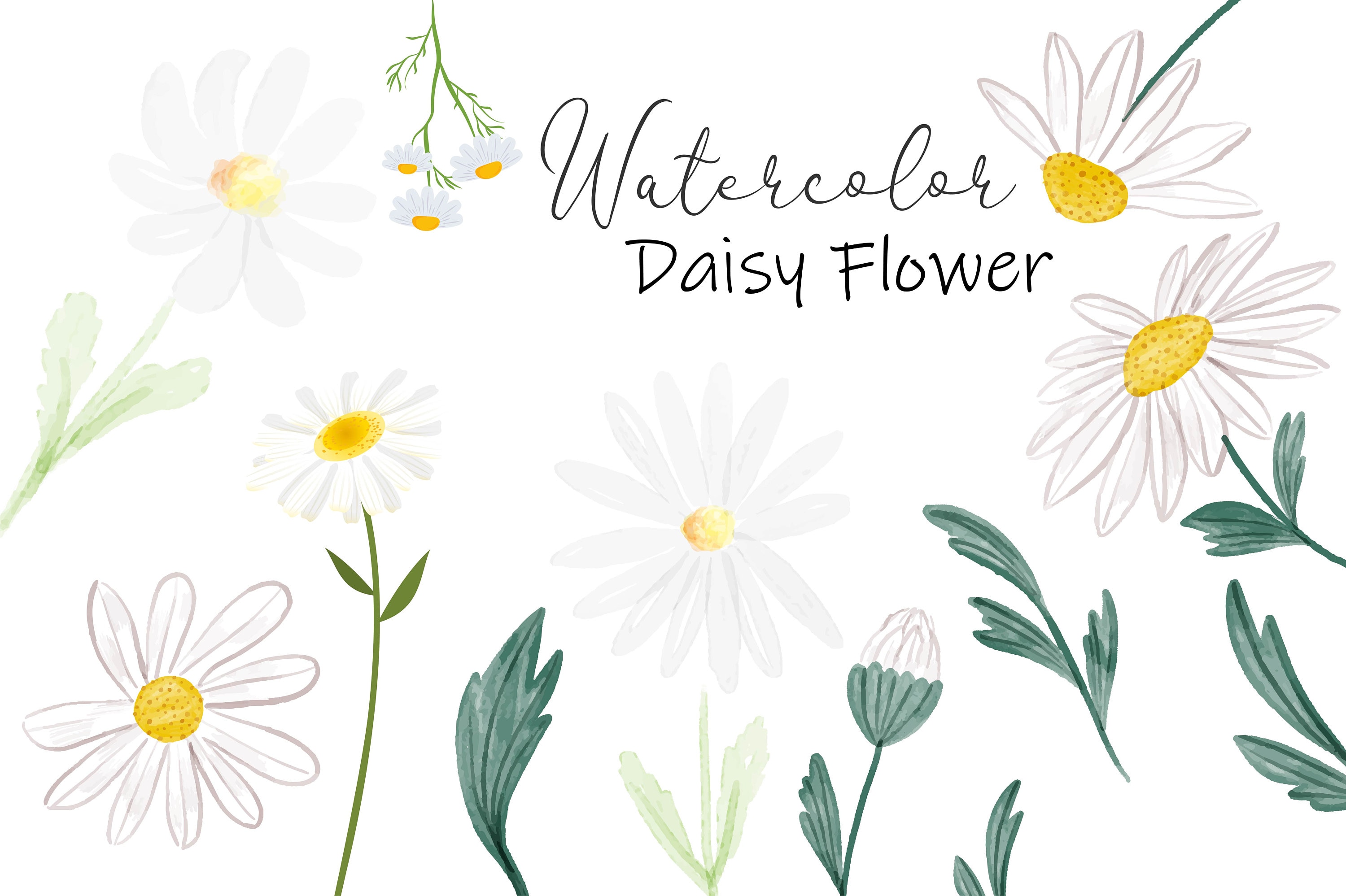 Watercolor Daisy Flower Clipart Spring Svg Flower SVG - Etsy